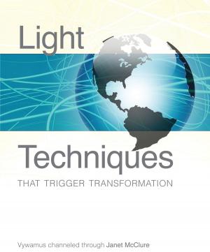 Cover of the book Light Techniques That Trigger Transformation by David K. Miller