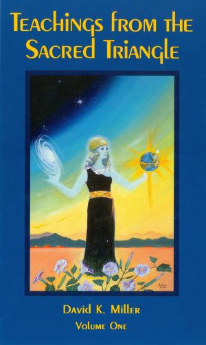 Cover of the book Teachings from the Sacred Triangle, Volume 1 by David K. Miller