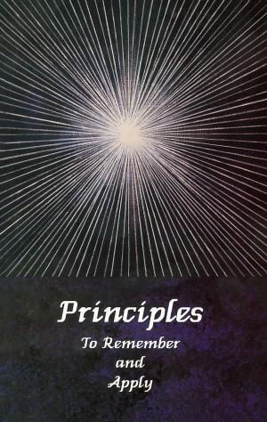 Cover of the book Principles to Remember and Apply by Joshua David Stone