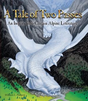 Book cover of A Tale of Two Passes