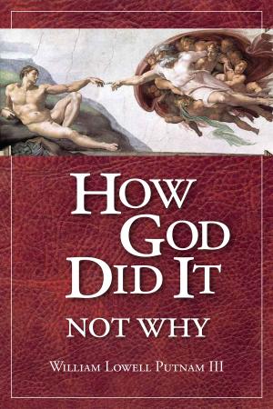Cover of the book How God Did It, Not Why by Pepper Lewis