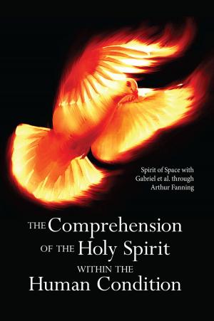 Cover of the book The Comprehension of the Holy Spirit within the Human Condition by David K. Miller