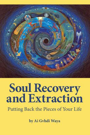 Book cover of Soul Recovery and Extraction