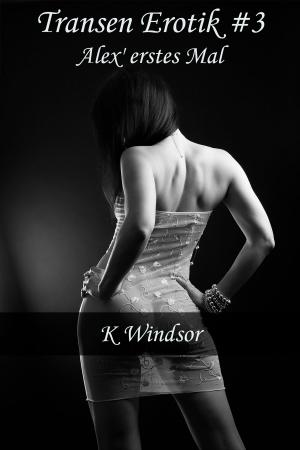 Cover of the book Transen Erotik #3 by K Windsor