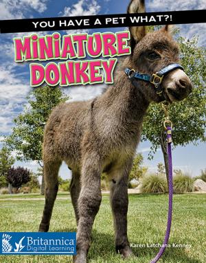 Cover of the book Miniature Donkey by David and Patricia Armentrout