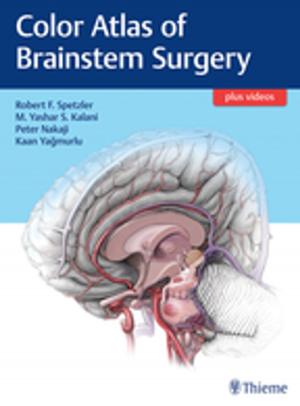 Cover of the book Color Atlas of Brainstem Surgery by Weizhong Sun, Arne Kapner