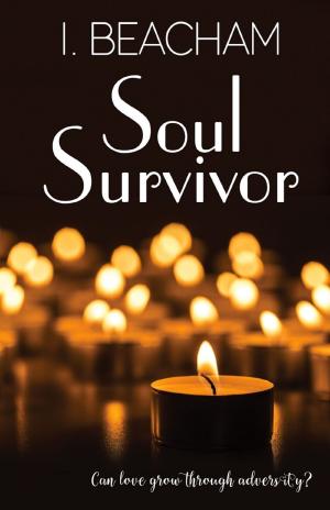 Cover of the book Soul Survivor by VK Powell