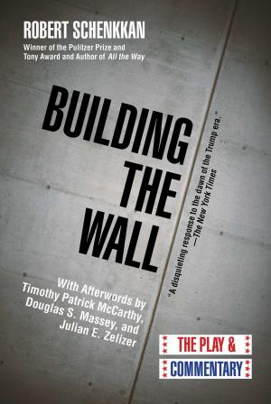 Cover of the book Building the Wall by Mantle Jonathan