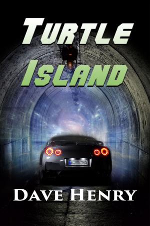 Book cover of Turtle Island