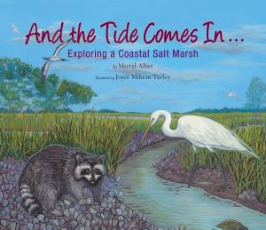 bigCover of the book And the Tide Comes In... by 