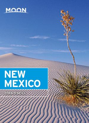 Cover of the book Moon New Mexico by Margaret Littman
