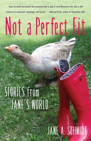 Cover of the book Not a Perfect Fit by Bonnie Friedman