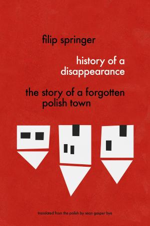 Book cover of History of a Disappearance: The Story of a Forgotten Polish Town