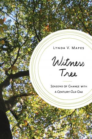 Cover of the book Witness Tree by Dr Wayne Morris