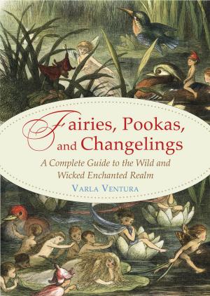 Cover of the book Fairies, Pookas, and Changelings by Danea Horn