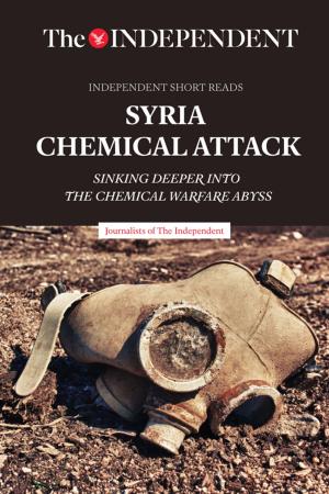 Cover of the book Syria Chemical Attack by Richard Carlson