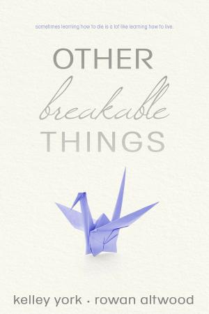 Cover of the book Other Breakable Things by N.J. Walters