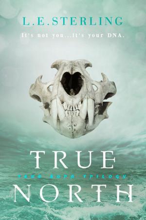 Cover of the book True North by Aubrie Dionne