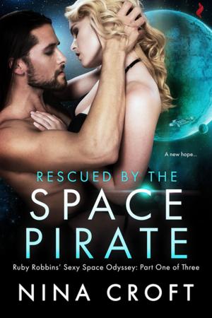 Cover of the book Rescued by the Space Pirate by E. Elizabeth Watson