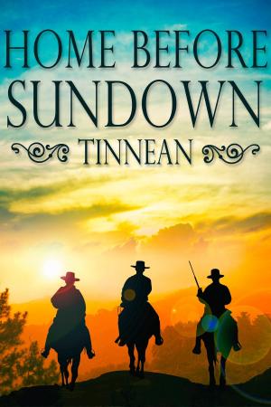 Book cover of Home Before Sundown