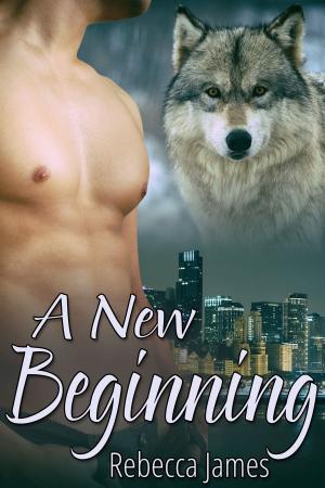 Cover of the book A New Beginning by Louise Collins