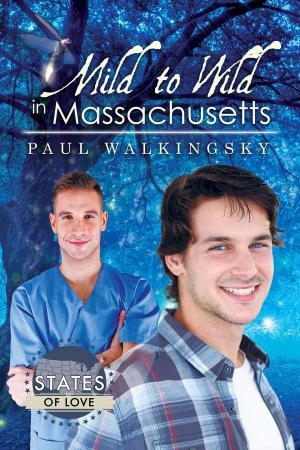 Cover of the book Mild to Wild in Massachusetts by K.Z. Snow