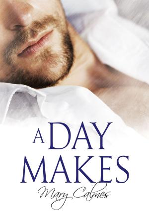 Cover of the book A Day Makes by Shira Anthony