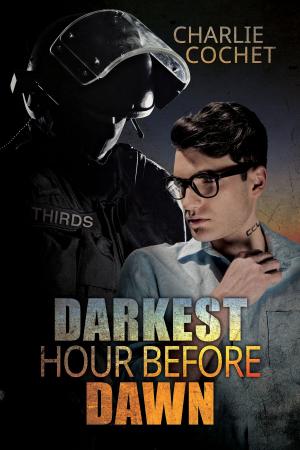Cover of the book Darkest Hour Before Dawn by CJane Elliott