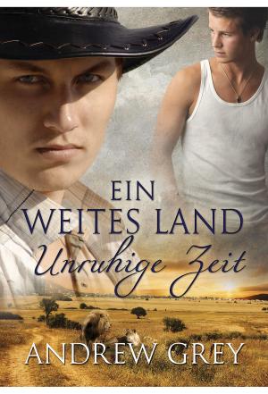 Book cover of Ein weites Land - Unruhige Zeit