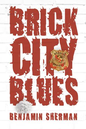 Cover of the book Brick City Blues by Anastasia Park