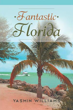 Cover of the book Fantastic Florida by Jason Menendez