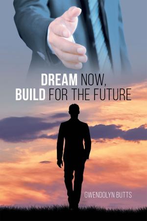 Cover of the book Dream Now, Build for the Future by STEVE PENN GERRARD