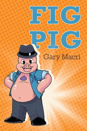 Cover of the book Fig Pig by Tony Jackson