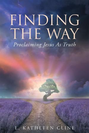 Cover of the book Finding The Way by Branden Perry