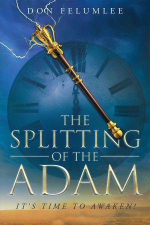 Cover of the book The Splitting of the Adam by Louis Saffell