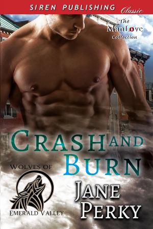Cover of the book Crash and Burn by Mardi Maxwell
