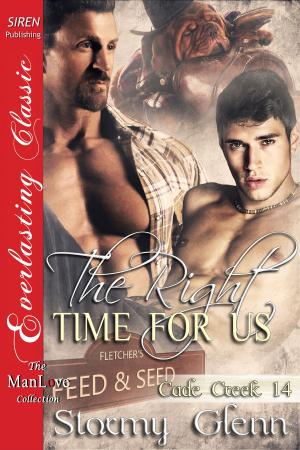 Cover of the book The Right Time for Us by Jadette Paige