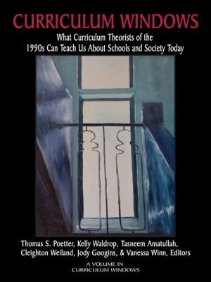 Cover of the book Curriculum Windows by Arie Wilschut
