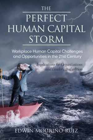 Cover of the book The Perfect Human Capital Storm by Hubert K. Rampersad