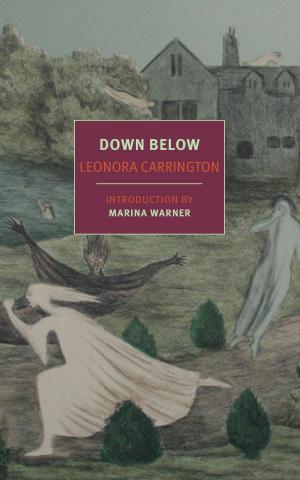 Book cover of Down Below