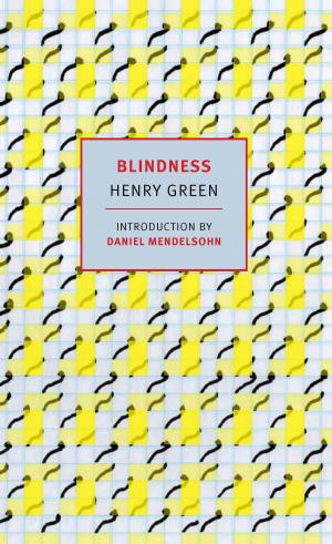 Cover of the book Blindness by Daniel Mendelsohn