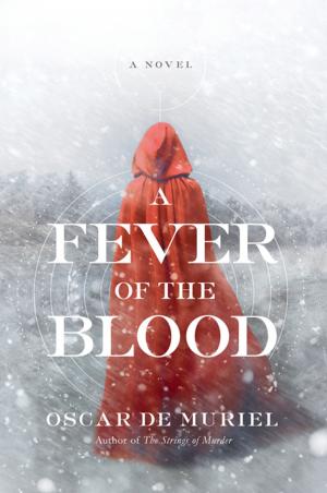 Cover of the book A Fever of the Blood: A Novel by Bruno Moebius