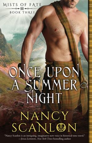 Cover of Once Upon a Summer Night