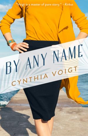 Cover of the book By Any Name by Lily Gardner