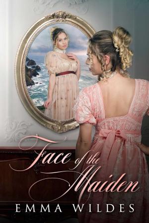 Cover of the book Face of the Maiden by Christy Poff