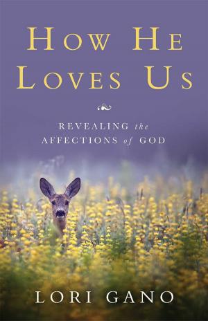 Cover of the book How He Loves Us: Revealing the Affections of God by Dale Goodrich