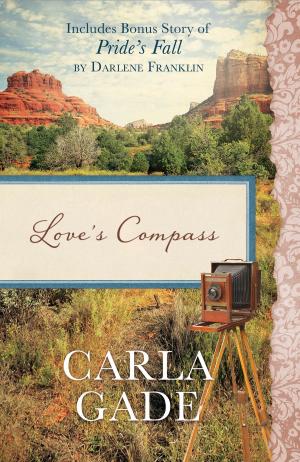 Cover of the book Love's Compass by Wanda E. Brunstetter
