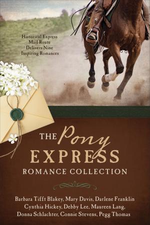 Book cover of The Pony Express Romance Collection