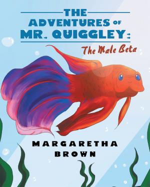 Cover of the book The Adventures of Mr. Quiggley by R. E. Bader