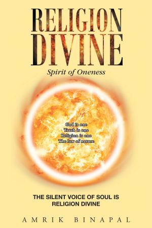 Cover of the book Religion Divine by R.E. Stephens